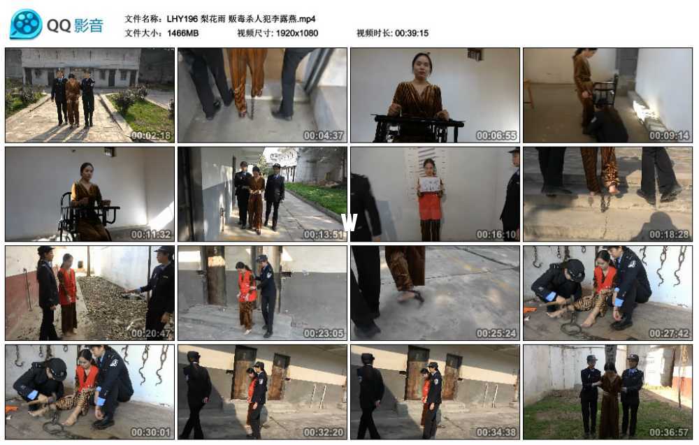 梨花雨 贩毒杀人犯李露燕