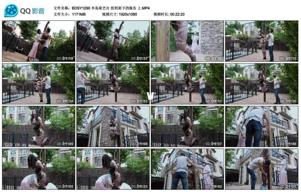 半岛束艺台 绞刑架下的报告 上