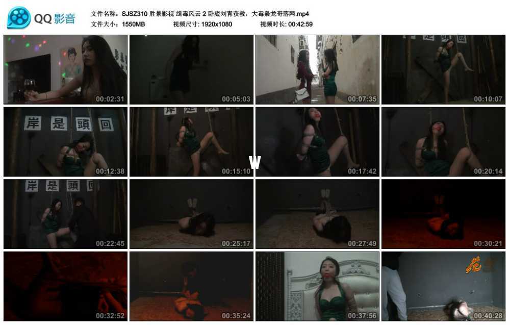胜景影视 缉毒风云 2 卧底刘青获救，大毒枭龙哥落网