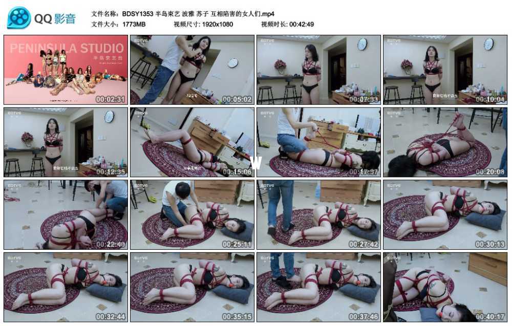 半岛束艺 波雅 苏子 互相陷害的女人们
