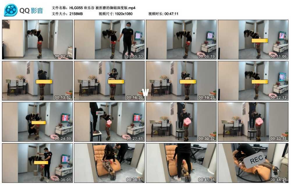 欢乐谷 被折磨的御姐深度版
