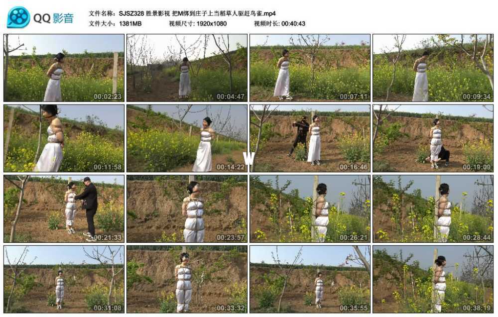 胜景影视 把M绑到庄子上当稻草人驱赶鸟雀