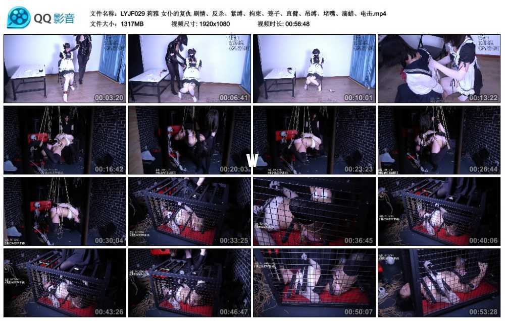 莉雅 女仆的复仇 剧情、反杀、紧缚、拘束、笼子、直臂、吊缚、堵嘴、滴蜡、电击