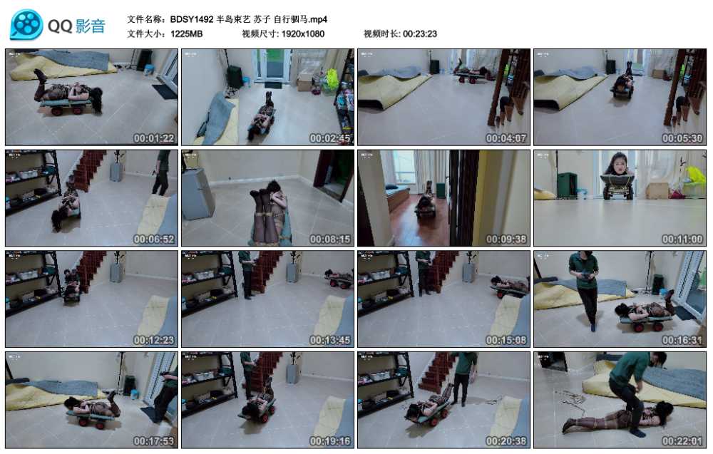 半岛束艺 苏子 自行驷马视频下载