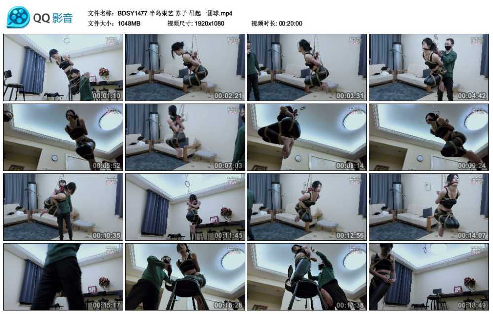 半岛束艺 苏子 吊起一团球