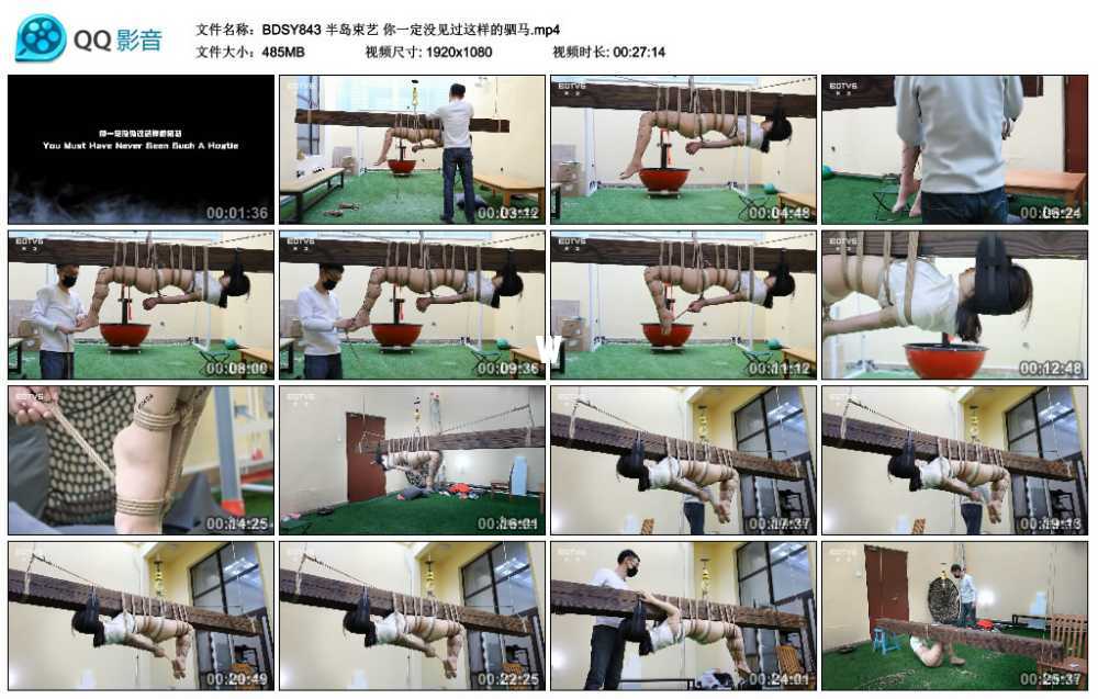 半岛束艺 你一定没见过这样的驷马 半岛束艺 你一定没见过这样的驷马