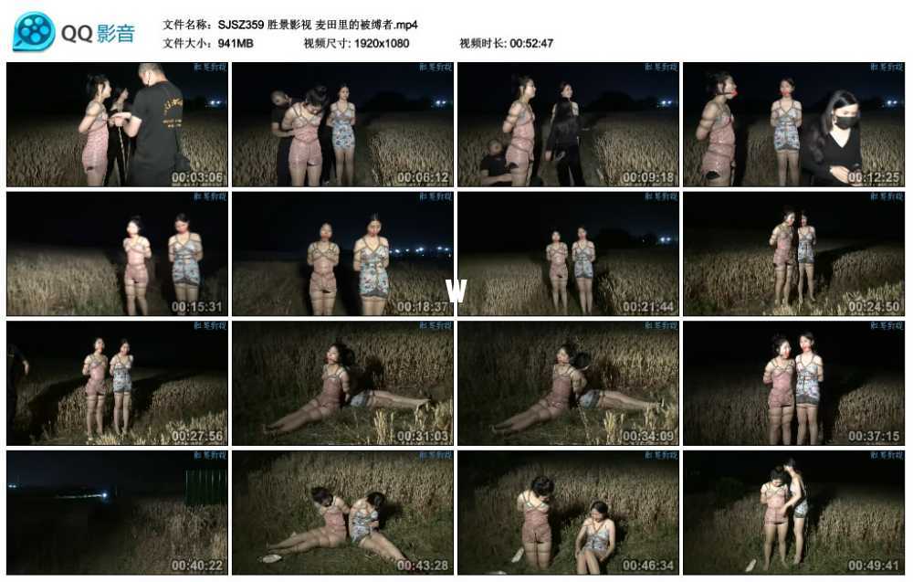 胜景影视 麦田里的被缚者