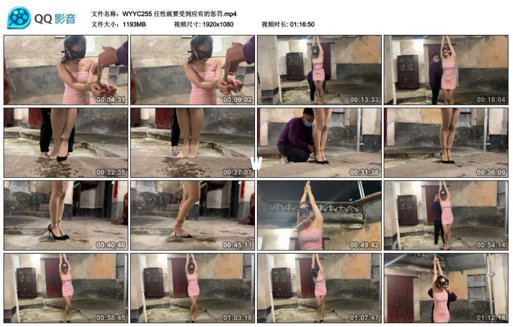 任性就要受到应有的惩罚视频下载