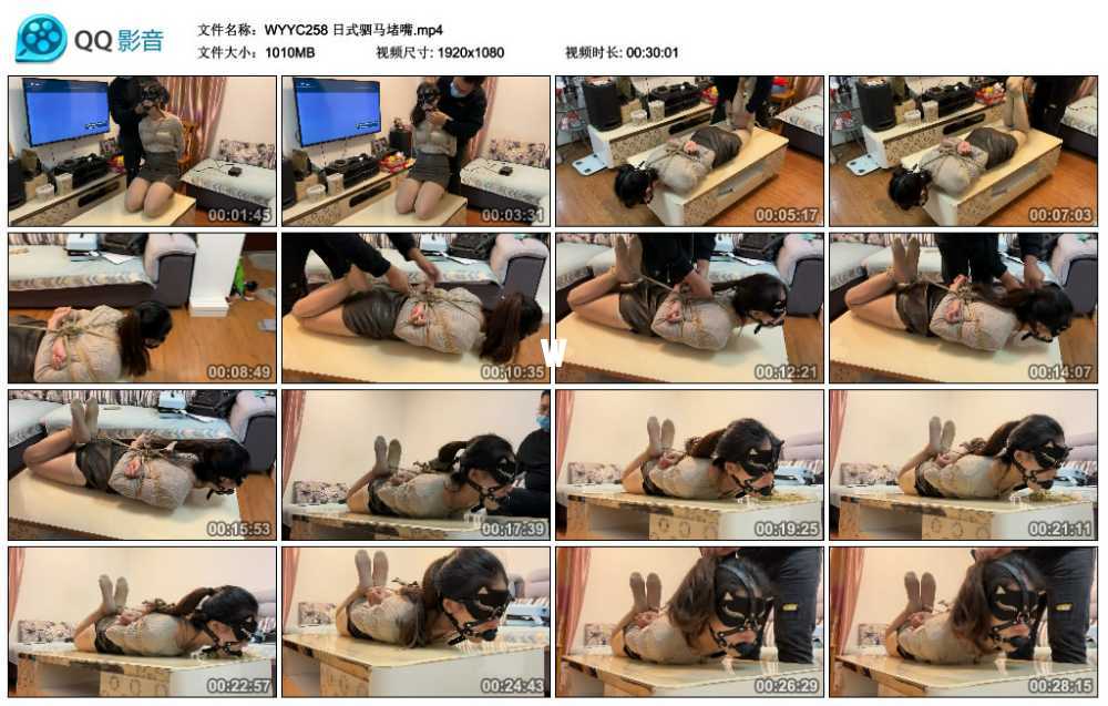 日式驷马堵嘴视频下载