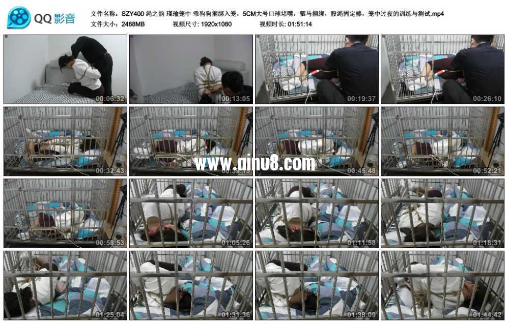绳之韵 瑾瑜笼中 乖狗狗捆绑入笼，5CM大号口球堵嘴，驷马捆绑，股绳固定棒，笼中过...