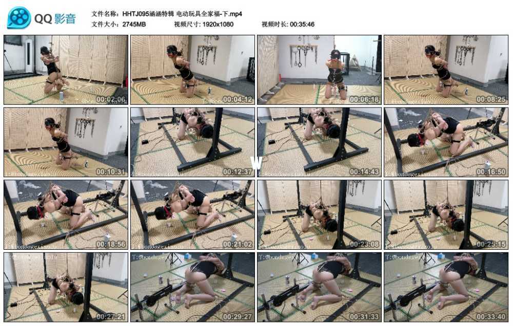 涵涵特辑 电动玩具全家福-下