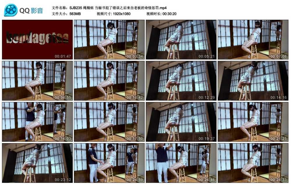 绳精病 当秘书犯了错误之后来自老板的奇怪惩罚