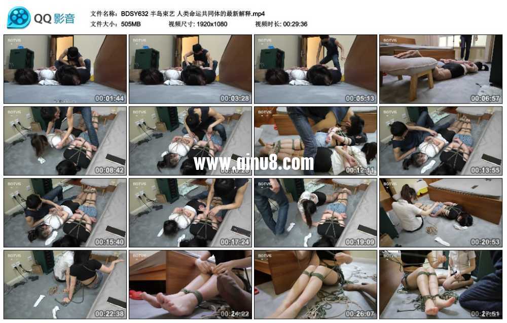 半岛束艺 人类命运共同体的最新解释 半岛束艺 人类命运共同体的最新解释