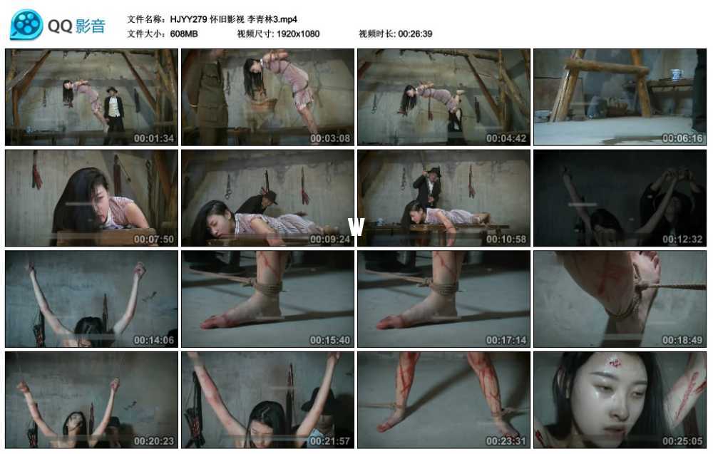怀旧影视 李青林3