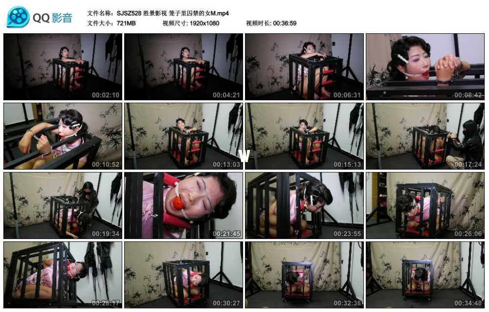 胜景影视 笼子里囚禁的女M