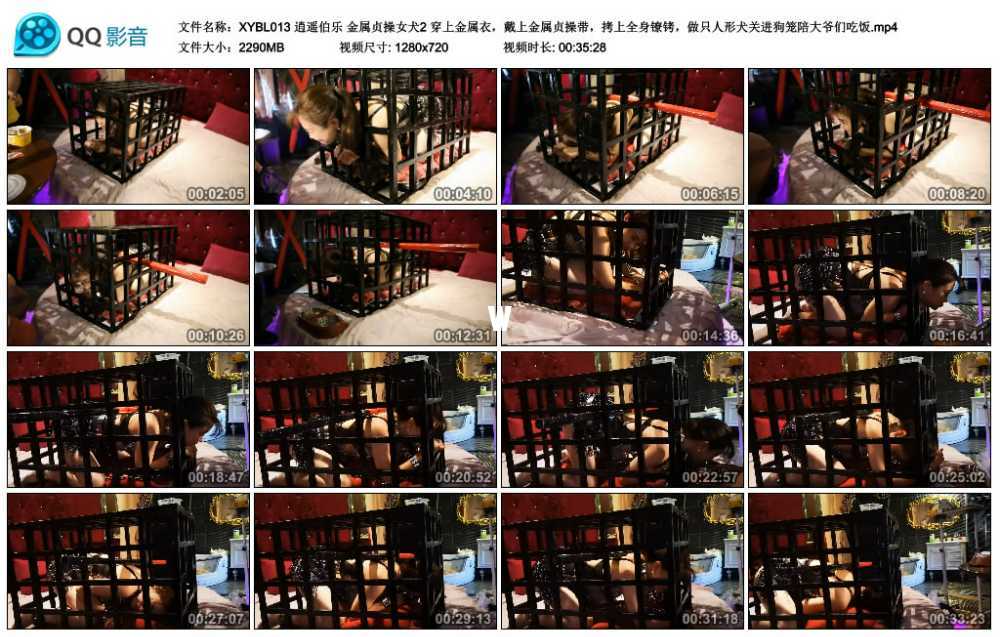 逍遥伯乐 金属贞操女犬2 穿上金属衣，戴上金属贞操带，拷上全身镣铐，做只人形犬关...