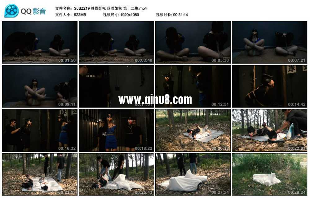 胜景影视 落难姐妹 第十二集