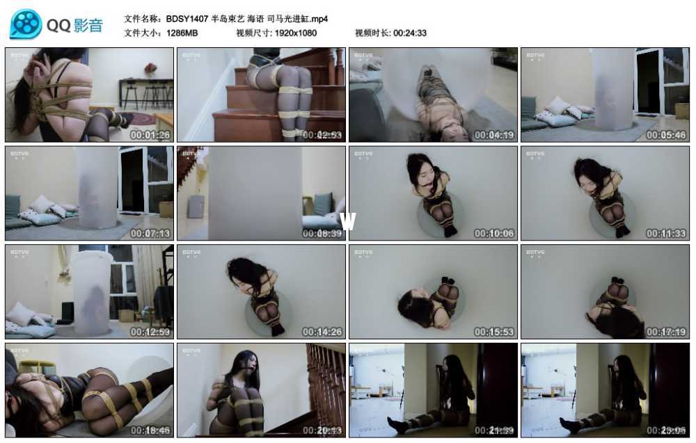 半岛束艺 海语 司马光进缸