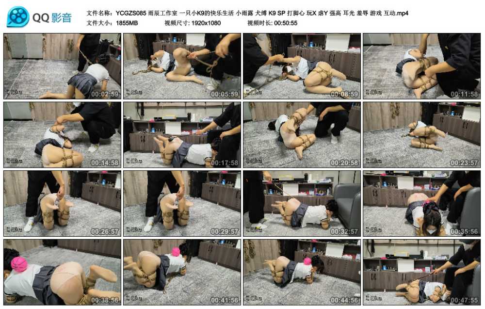 雨辰工作室 一只小K9的快乐生活 小雨露 犬缚 K9 SP 打脚心 玩X 虐Y 强高 耳光 羞辱...