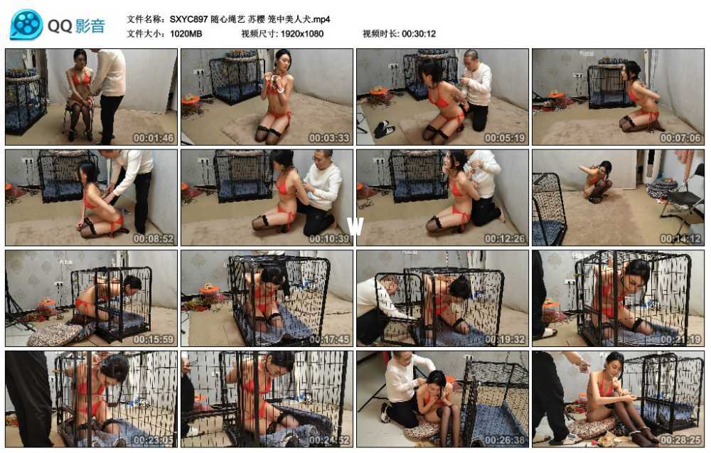 随心绳艺 苏樱 笼中美人犬视频下载