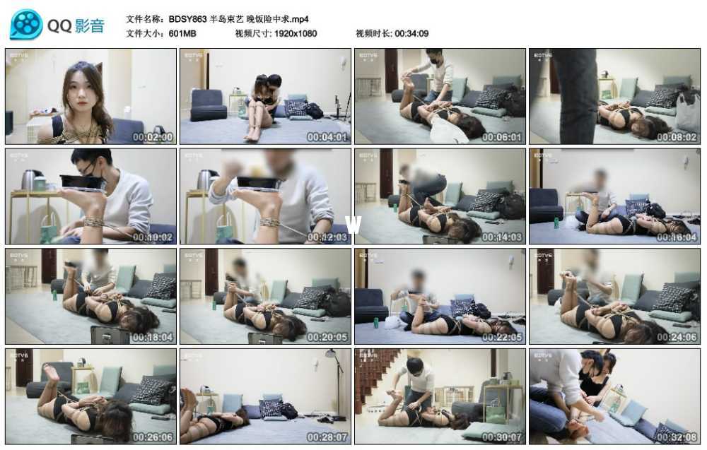 半岛束艺 晚饭险中求视频下载