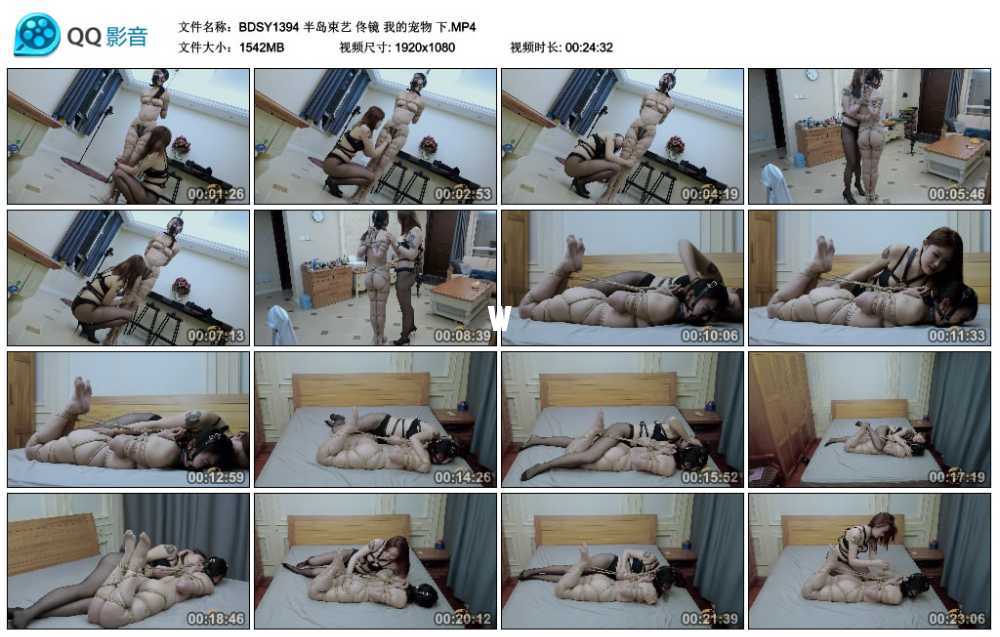 半岛束艺 佟镜 我的宠物 下