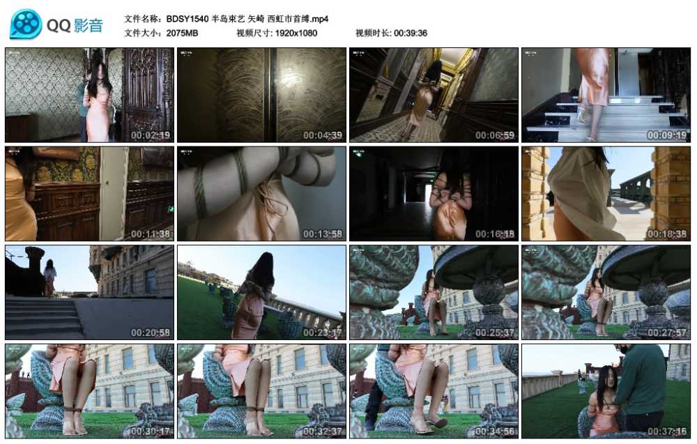 半岛束艺 矢崎 西虹市首缚