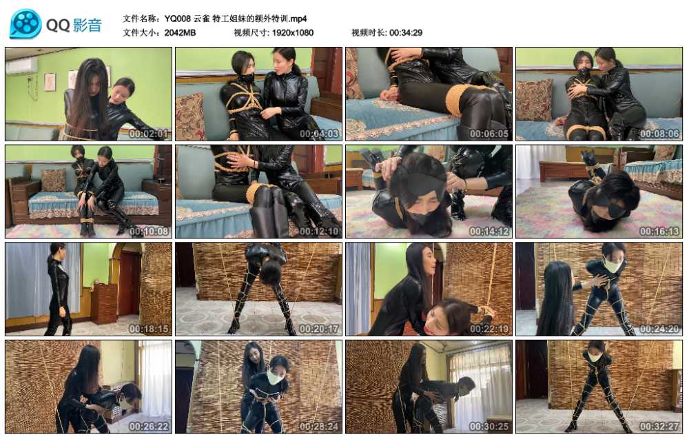 云雀 特工姐妹的额外特训