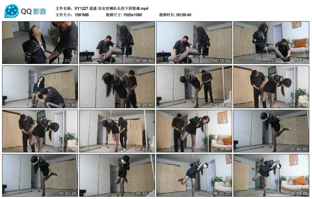 逍遥 治安官柳队长的下班惊魂