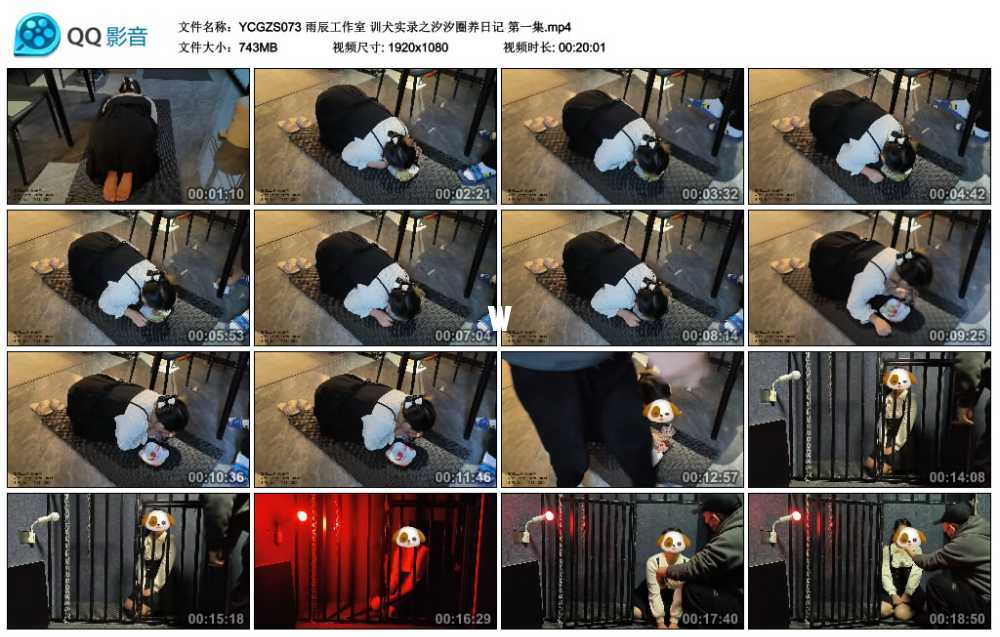 雨辰工作室 训犬实录之汐汐圈养日记 第一集