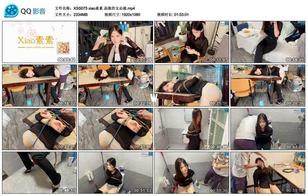 xiao素素 高傲的女总裁