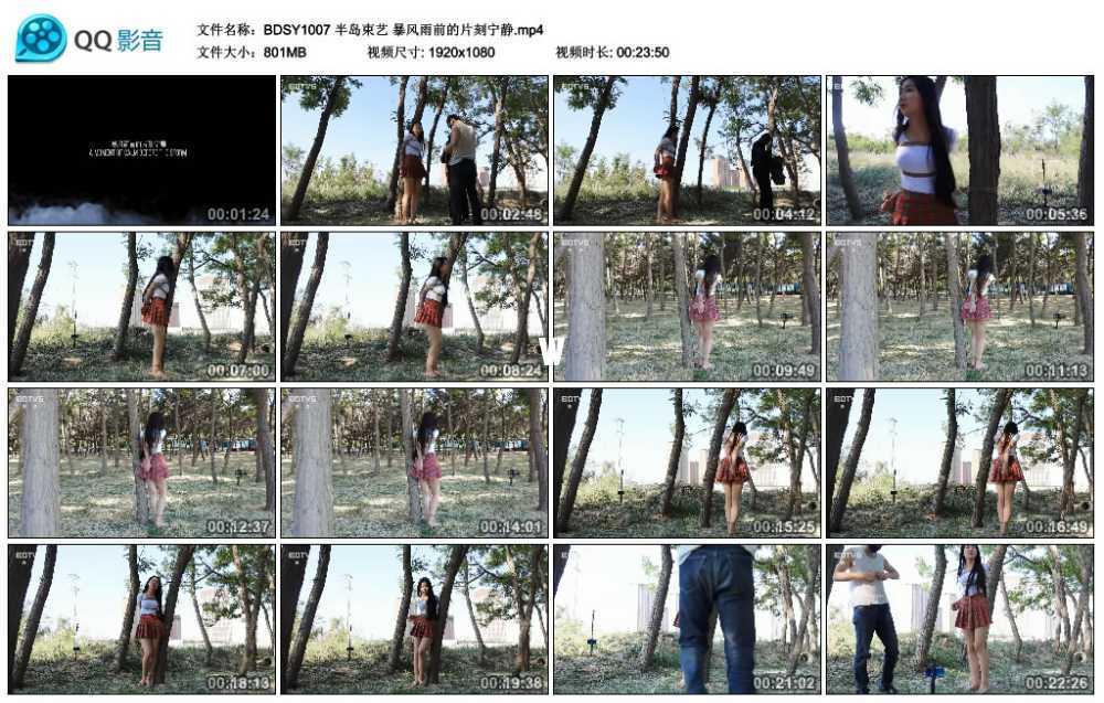 半岛束艺 暴风雨前的片刻宁静视频下载