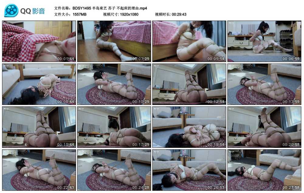 半岛束艺 苏子 不起床的理由视频下载