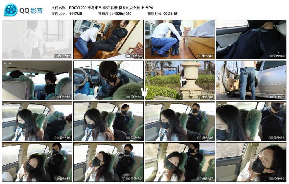 半岛束艺 海语 波雅 机长的安全员 上视频下载