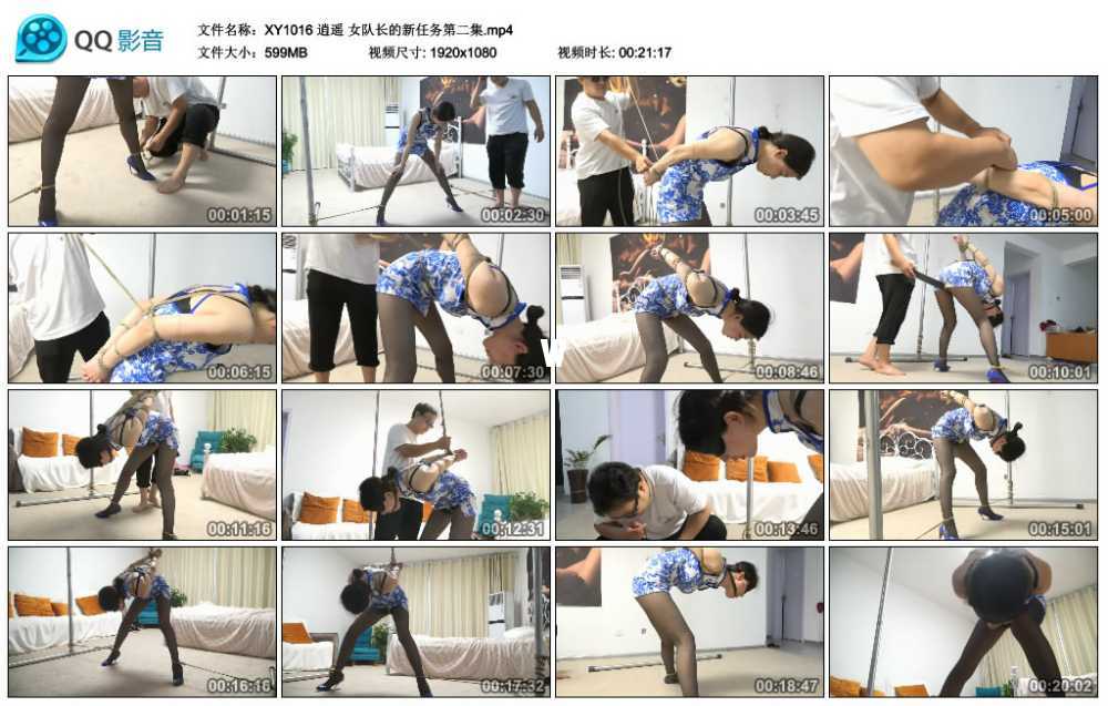逍遥 女队长的新任务第二集