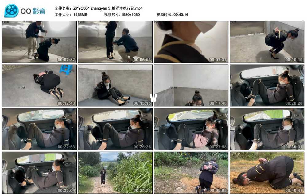 zhangyan 定拍洋洋执行记