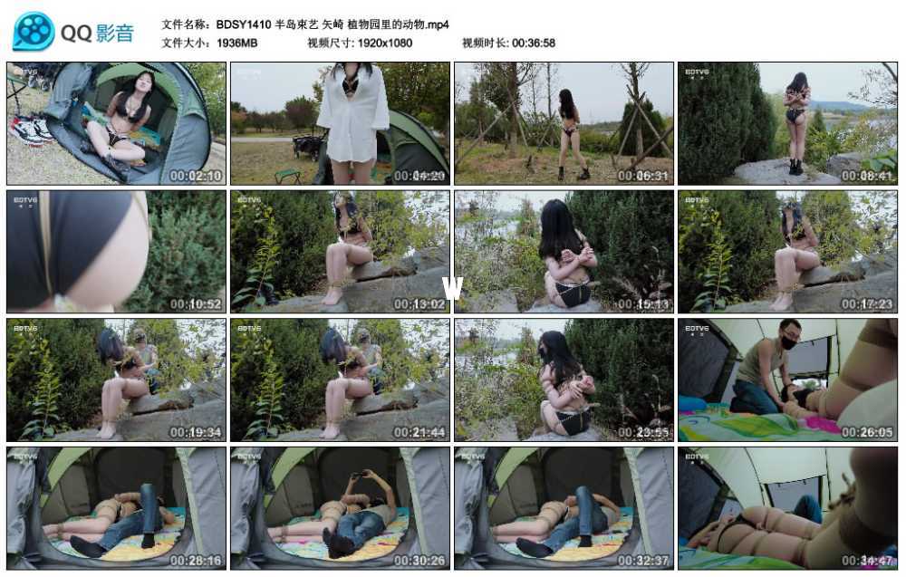 半岛束艺 矢崎 植物园里的动物