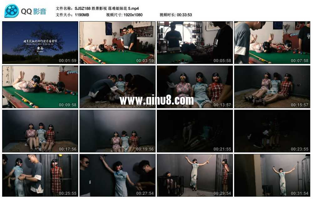 胜景影视 落难姐妹花 5视频下载