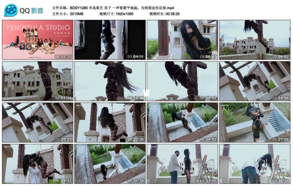 半岛束艺 苏子 一声惊雷平地起，为何我会在这里