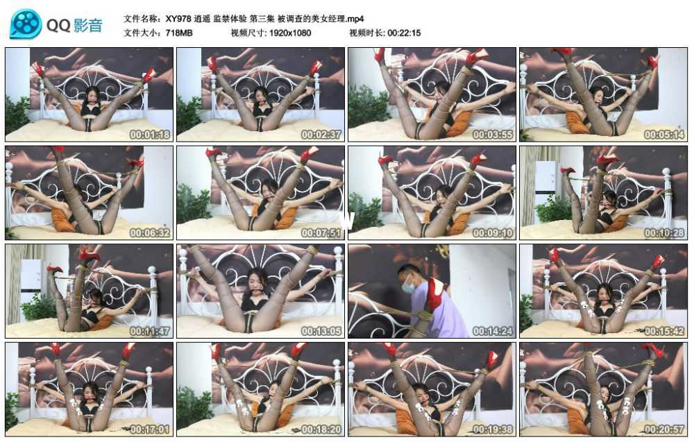 逍遥 监禁体验 第三集 被调查的美女经理