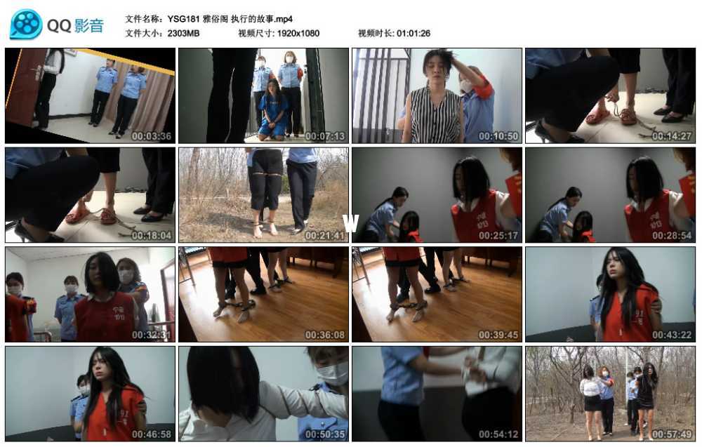 雅俗阁 执行的故事