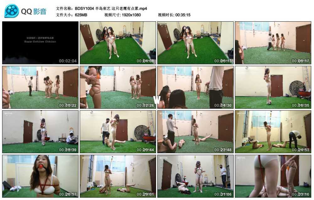 半岛束艺 这只老鹰有点累视频下载