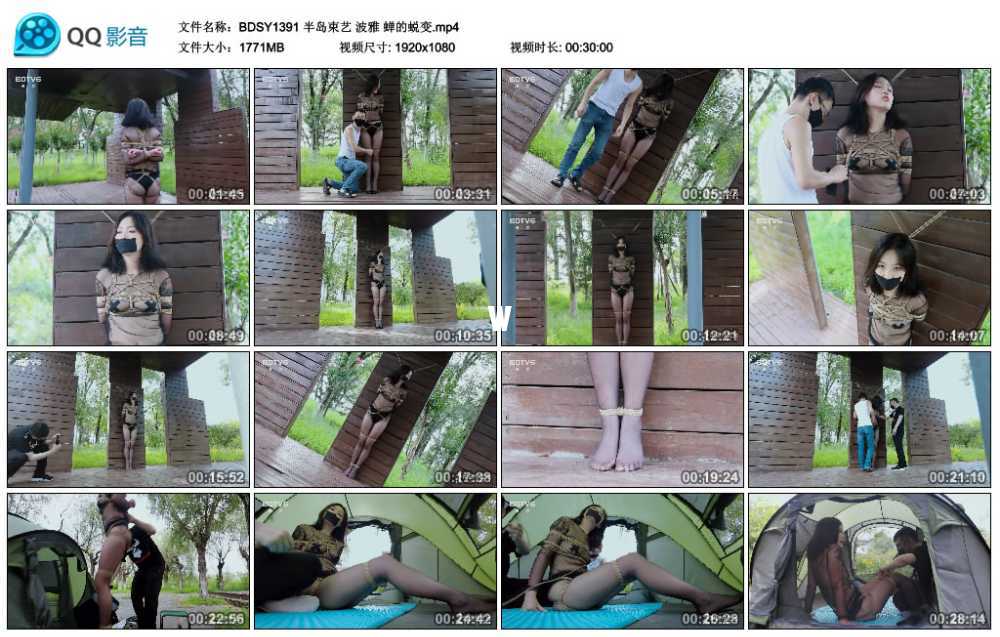 半岛束艺 波雅 蝉的蜕变