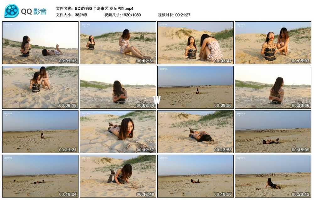 半岛束艺 沙丘诱饵视频下载