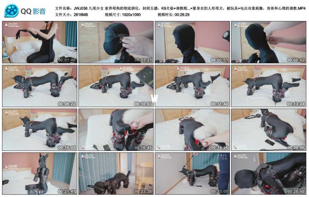 九尾少女 家养母狗的彻底驯化，封闭五感，K9犬姿+调教爬行+电击+狗盆喂养，感官封...