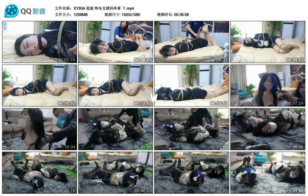 逍遥 特务支援科终章 下