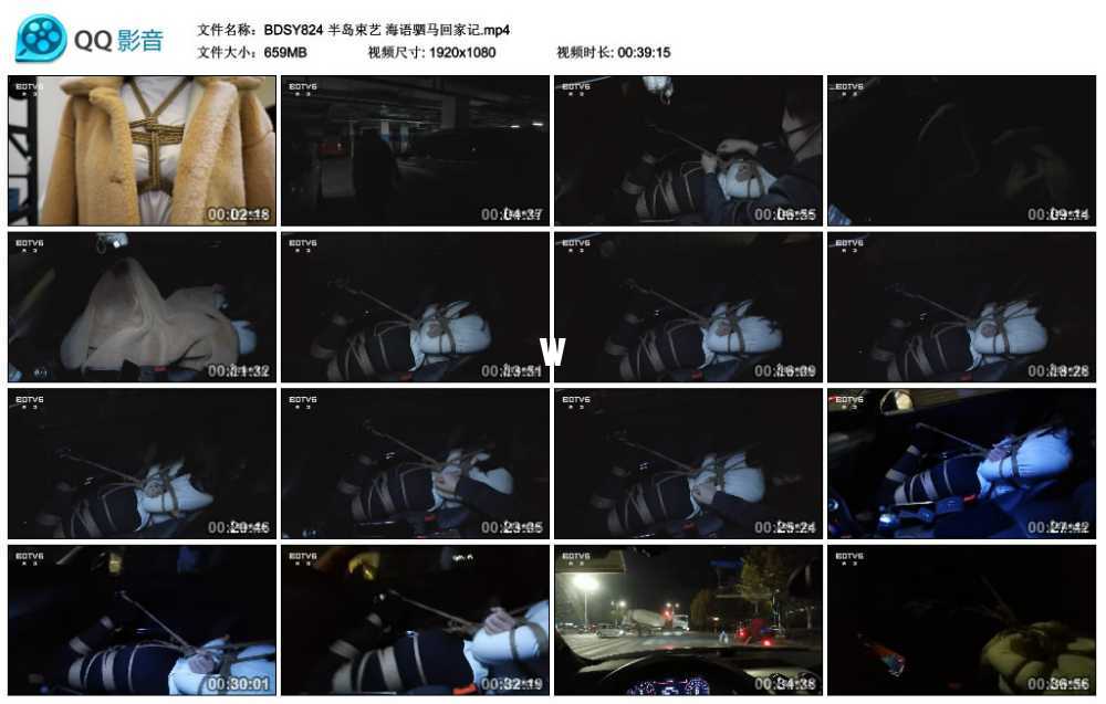 半岛束艺 海语驷马回家记视频下载
