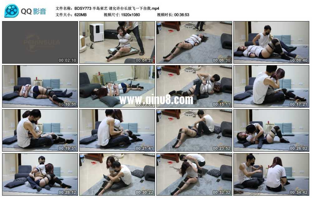 半岛束艺 请允许台长放飞一下自我视频下载
