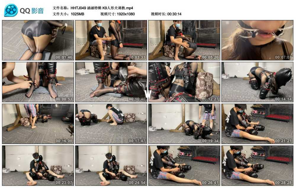 涵涵特辑 K9人形犬调教