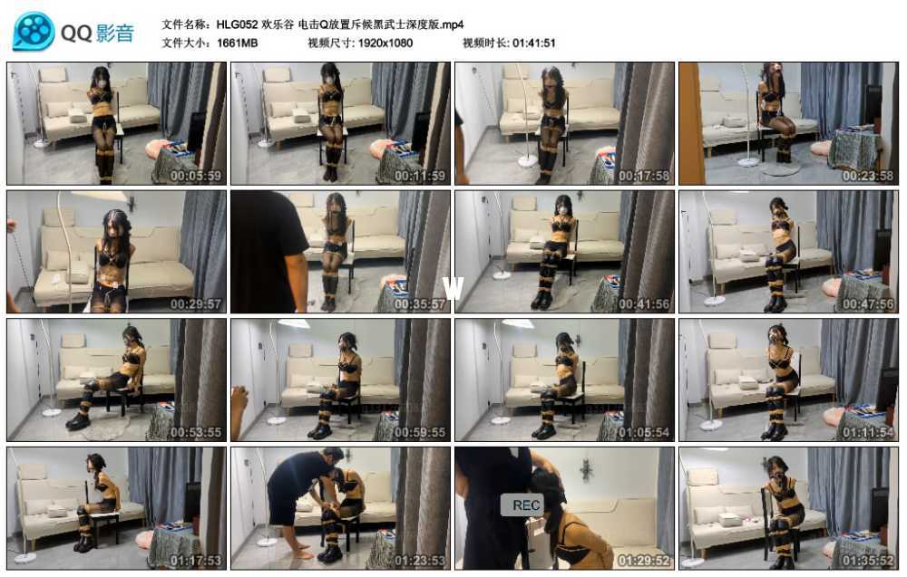 欢乐谷 电击Q放置斥候黑武士深度版